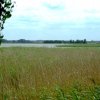 Tour 6: Naturpark Usedom